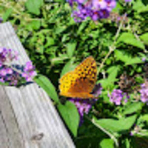 Meet your Posher, Patricia